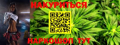дмт Новокубанск