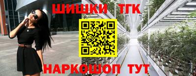 твердый Новодвинск